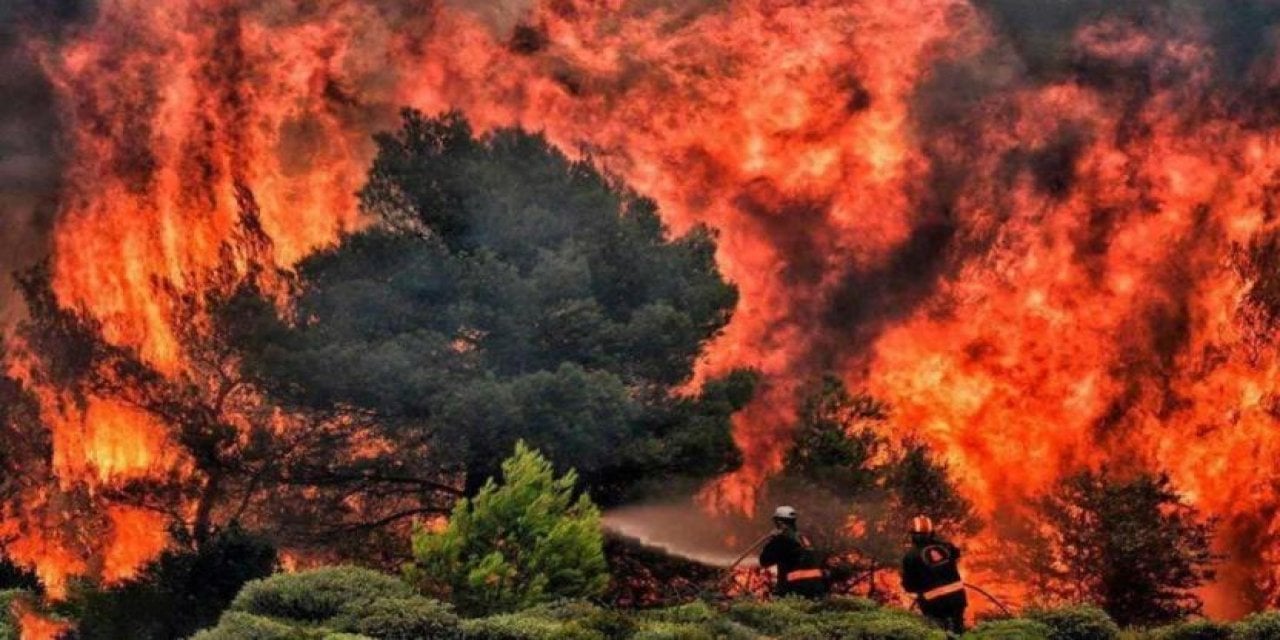 Orman yangınları kontrol altına alınamıyor: 95 Bin hektar alan yandı!