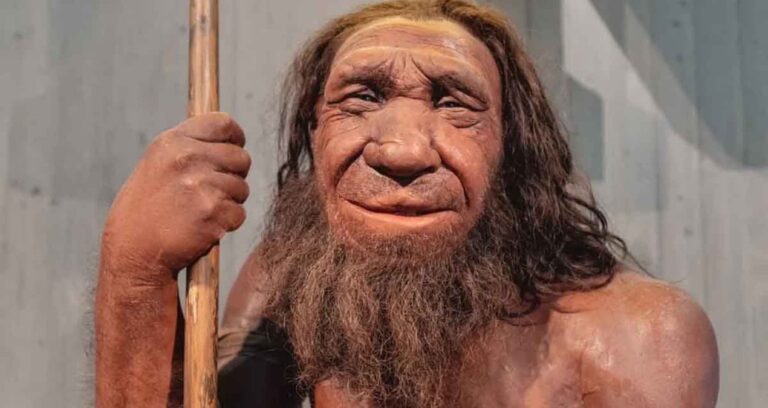 neandertallerin-kani-onlarin-neslinin-tukenmesine-yol-acmis-olabilir-iste-o-kan-grubu-WY4PpIse.jpg